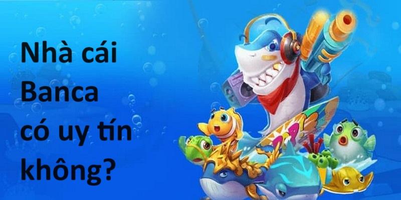 Góc giải đáp: Kênh nhà cái cá cược Banca có uy tín không?